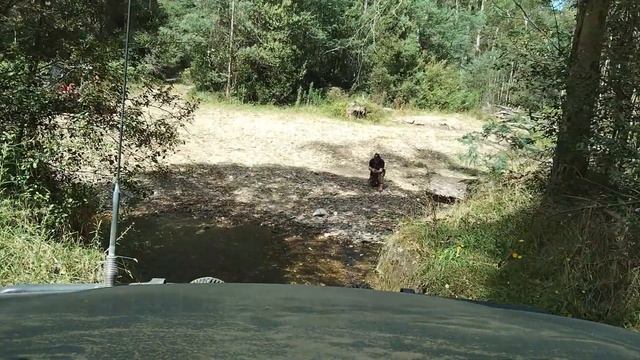 Woodspoint to Walhalla | Off Road | 4X4 | Overlanding | Exploring смотреть онлайн
