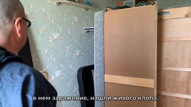 Как выбрать санитарную службу от клопов? На что обращать внимание, какие документы спрашивать