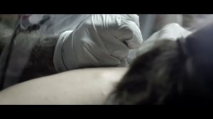 Miss May I - Gone (Official Music Video)