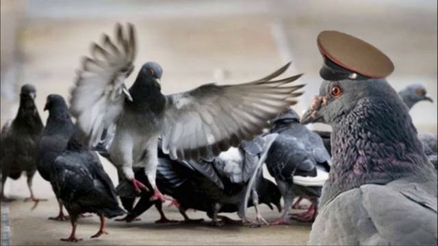 Sinister Secrets Of Ironwood - March Of The Pigeons 2 смотреть онлайн