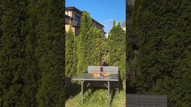 Просто не ешь вкусняшки и вредную еды и ты похудеешь! Знакомы такие советы? смотреть онлайн