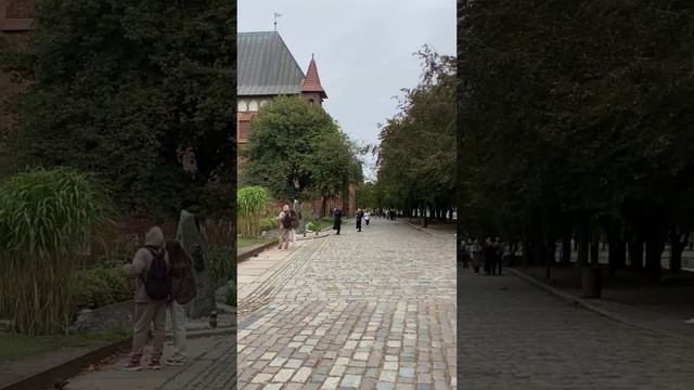 Пасмурный Калининград под органную музыку Баха