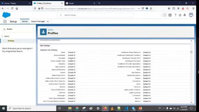 User and Profile in Salesforce | Salesforce Security смотреть онлайн
