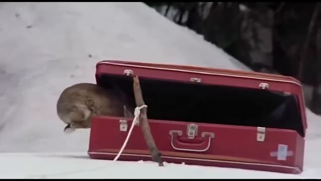 Kardaki Yaratık- Yeti _ Türkçe Dublaj Yabancı Gerilim Filmi _ Full Film izle смотреть онлайн