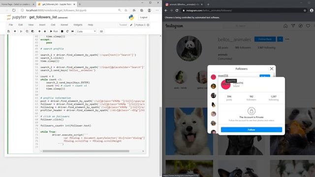 Instragram Scraping Tutorial - Followers List and Profile Information [+Excel File] смотреть онлайн