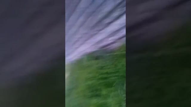 Бухие малолетки