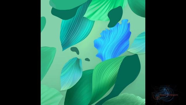 Huawei Nova 5i/Nova 5 Pro Wallpapers смотреть онлайн