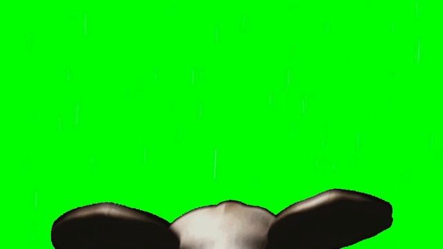 Oblitus casa all jumpscares v2 смотреть онлайн