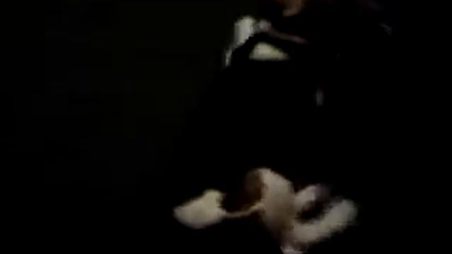 Crazy humping dog смотреть онлайн