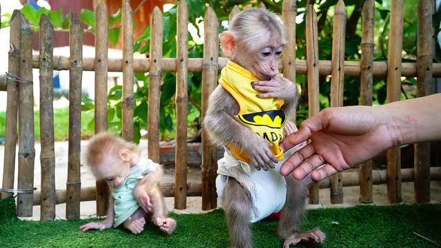 Adorable 3 Sibling Want See Grandma Come From Market With Sweet Mangoustan смотреть онлайн