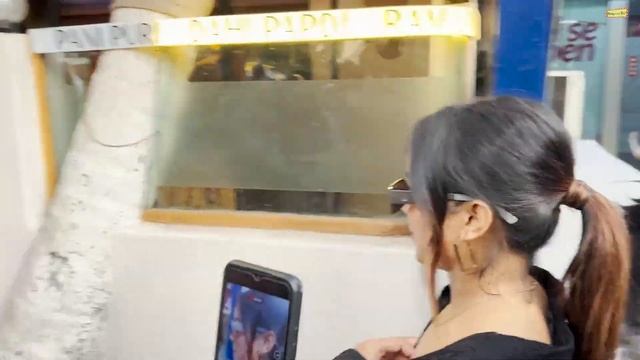 Salman Khan 63 Years Old Ex-GF Sangeeta Bijlani Proves Age Is Just Numbers! смотреть онлайн