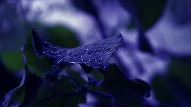 Aitua : Elements - II The Rain смотреть онлайн