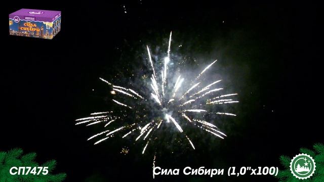 СП7475 смотреть онлайн