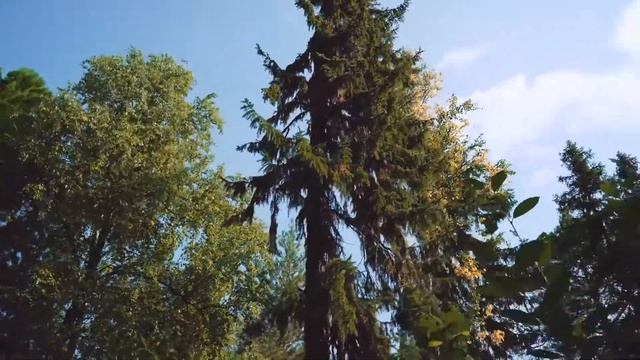 Где то на Вуктыле смотреть онлайн
