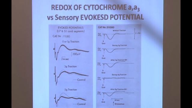 2017 XXIX ASAP Conference: Tethered Cord Syndrome смотреть онлайн
