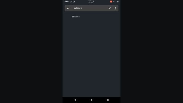 Android 11 LG G2 F320 (LineageOS 18.1)