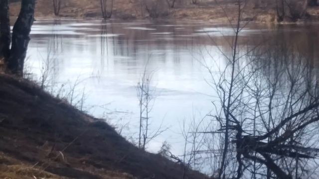 Река Которосль, Лучшее место для рыбалки! Почти.... смотреть онлайн