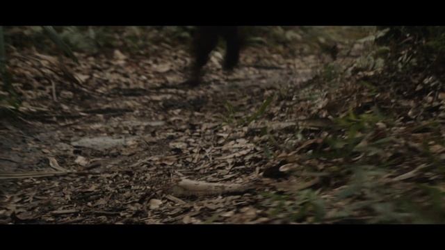 The Last Pirate | Initial Test Look смотреть онлайн