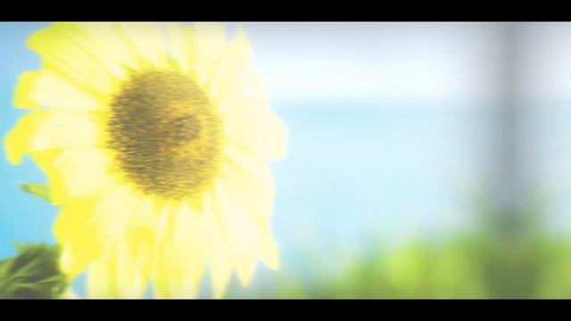 SUNFLOWER 🌻 - A PUBG SHORT FILM MADE WITH UNREAL ENGINE 5.1 | PUBG MOBILE RTX ON | @BaroodGaming смотреть онлайн