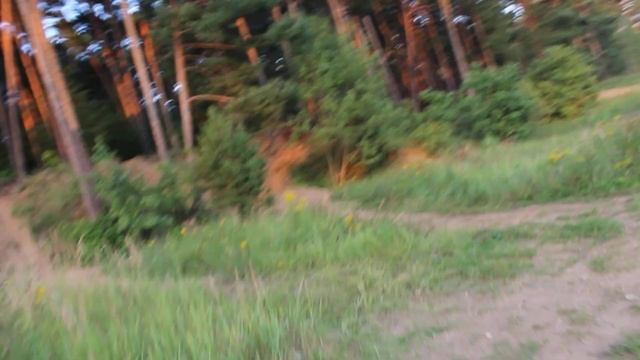 Ромашково лес (1) смотреть онлайн