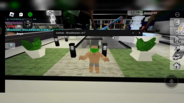 Script Brookhaven Premium |Fluxus Arceus X Hydrogen Fluxus |