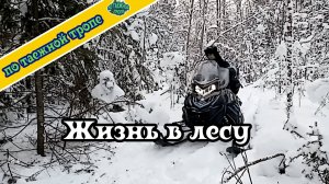 Жизнь промысловика: день из жизни на промысле в тайге