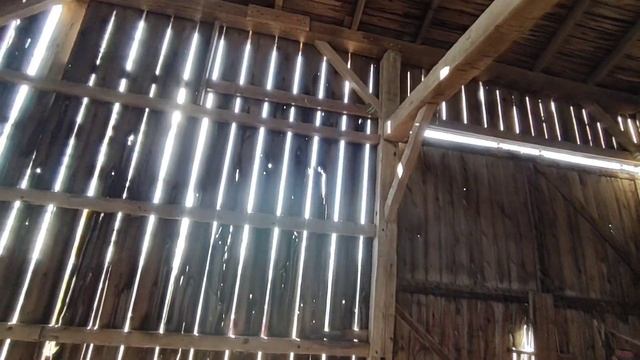 Walking through the old heifer barn. смотреть онлайн