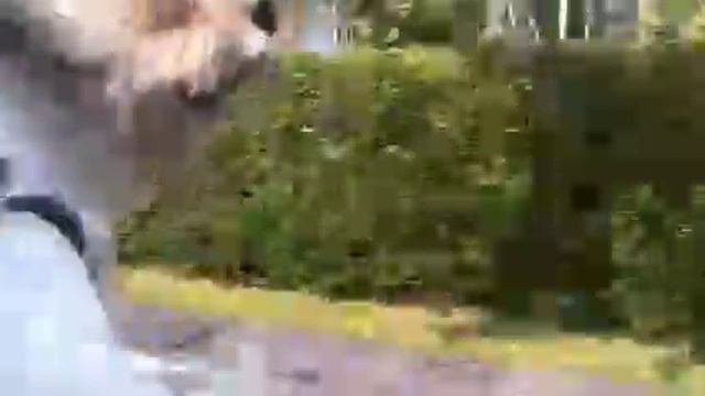 Shih Tzu Dog Out Car Window смотреть онлайн