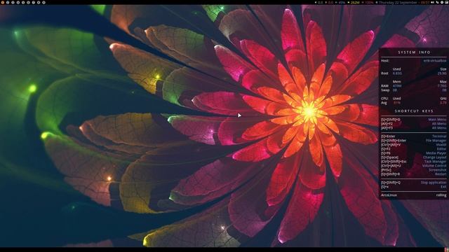 ArcoLinux : 3009 How to remove the conky in tiling window managers смотреть онлайн