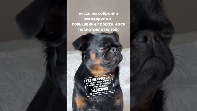 На собрании #xcmg #гцтехно #спецтехника #shorts #юмор смотреть онлайн