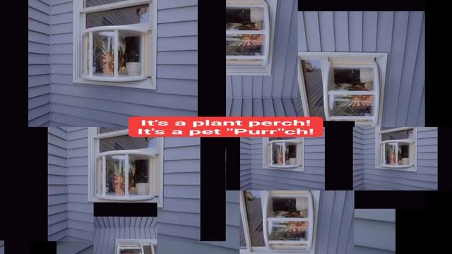 it's a plant perch! Hell no....it's a pet "purr"ch смотреть онлайн