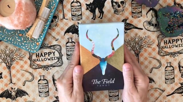 Deck Collection: Fall Tarot Decks 2020! смотреть онлайн