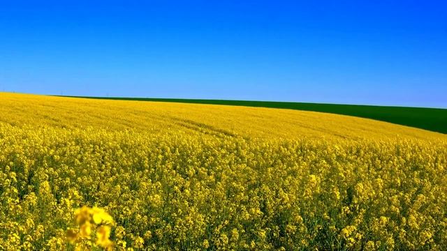 🚩ЛУЧШАЯ МУЗЫКА ДЛЯ РАССЛАБЛЕНИЯ - КРАСИВАЯ И НЕЖНАЯ #THE BEST MUSIC#