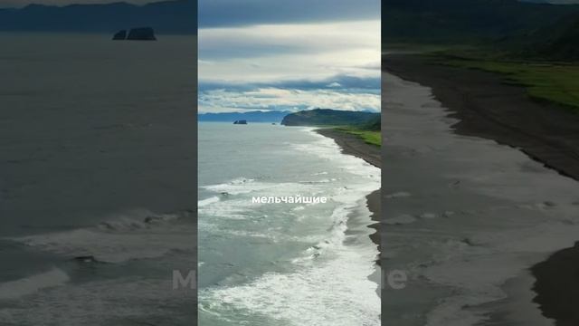 Travel Now - путешествуй прямо сейчас