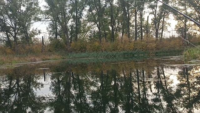 река Цна пгт Знаменка смотреть онлайн