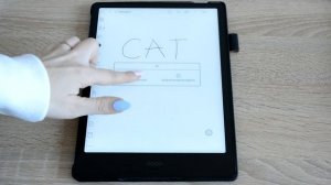 PocketBook InkPad X vs Onyx Boox Note 2