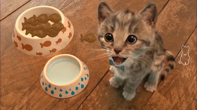 Little Kitten Adventures - Costume Dress-Up Party Gameplay смотреть онлайн