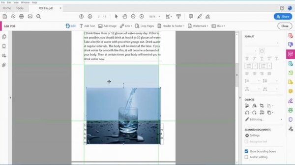 How to cut and paste images from a PDF using Adobe Acrobat Pro DC 2022