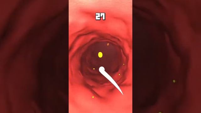 Sus Adventure - Gameplay / Walkthrough Part 1 (IOS & Android Game) смотреть онлайн