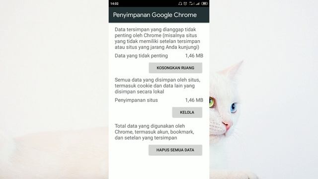 Cara Mengatasi Google Chrome Tidak Bisa Browsing di Android смотреть онлайн