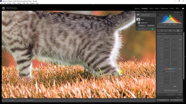 How To Auto Select Background and Change Color in Lightroom 2023 смотреть онлайн