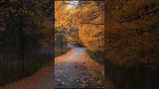 Пусть у вас будет всё хорошо при любой погоде☔☀ смотреть онлайн