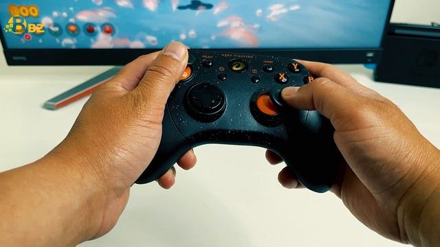 Best Nintendo Switch Pro Controller on a Budget смотреть онлайн