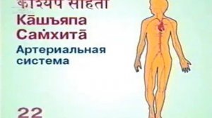 Упражнение Проговаривания 40 аспектов Веды и Ведической литературы