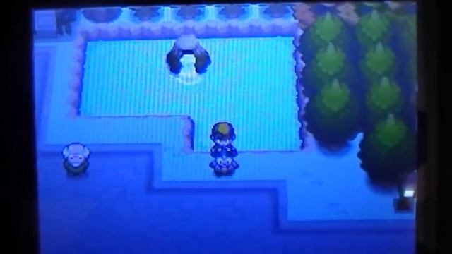 How to RAPE a Pokemon: Miltank смотреть онлайн