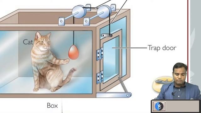 Learned Behavior | Target CSIR NET Life Science June 2024 | IFAS | Lec 1 смотреть онлайн