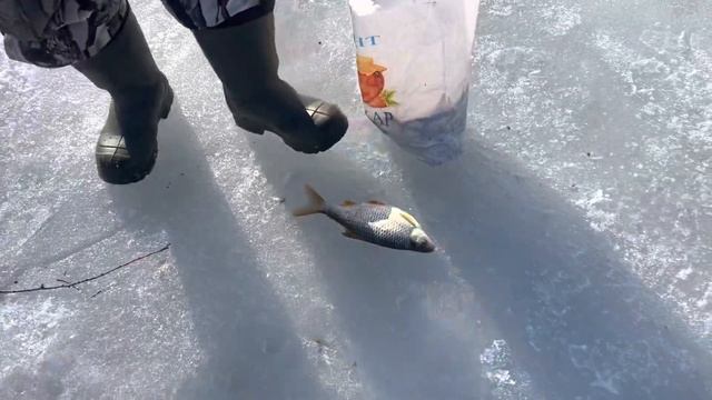 27 марта 2023 г. смотреть онлайн