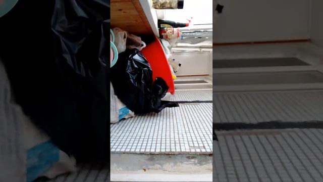 scene_output.mp4 смотреть онлайн