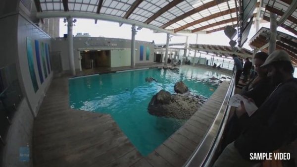 Samsung Gear 360 (2017) Review