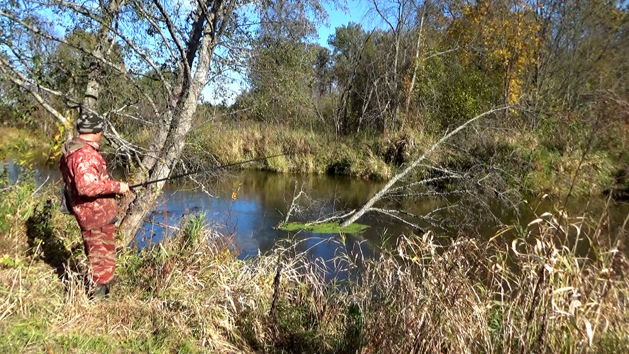 Рыбалка 17 октября на поплавок на малой реке как она есть в реальности смотреть онлайн